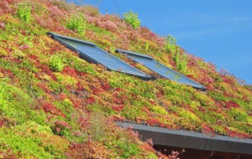 Trevenning living roof systems